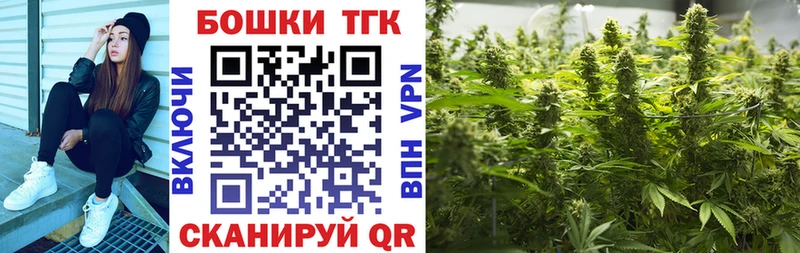 Конопля сатива  продажа наркотиков  Мглин 